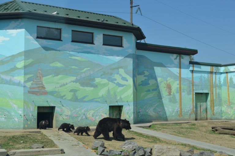 прогулянка